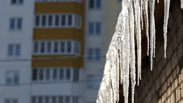 Icicles Hanging From Roof Begin to Melt With the Coming of Spring.