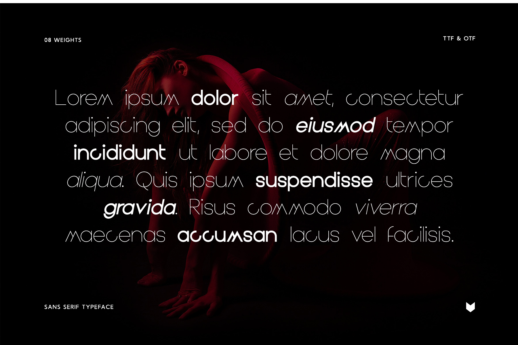 Graphite Pro Typeface, Fonts | GraphicRiver