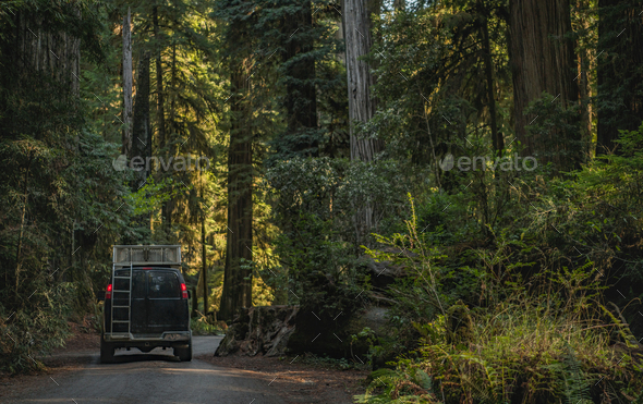 Camper Van Road Trip to the California Redwoods