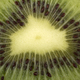 Kiwi fruit isolated macro shot background - PhotoDune Item for Sale