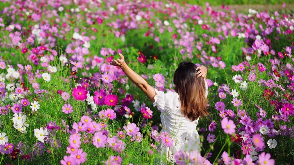 Young woman traveler relaxing and enjoying with blooming cosmos flower field