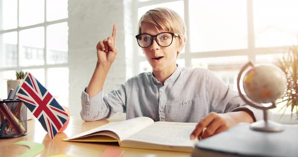 Successful Young Boy Studying