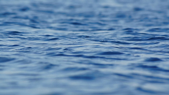 Water Surface With Ripples 