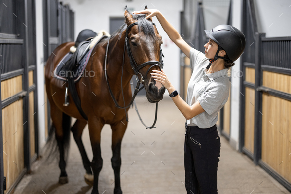 Female horseman with Thoroughbred horse in stable - Stock Photo - Images