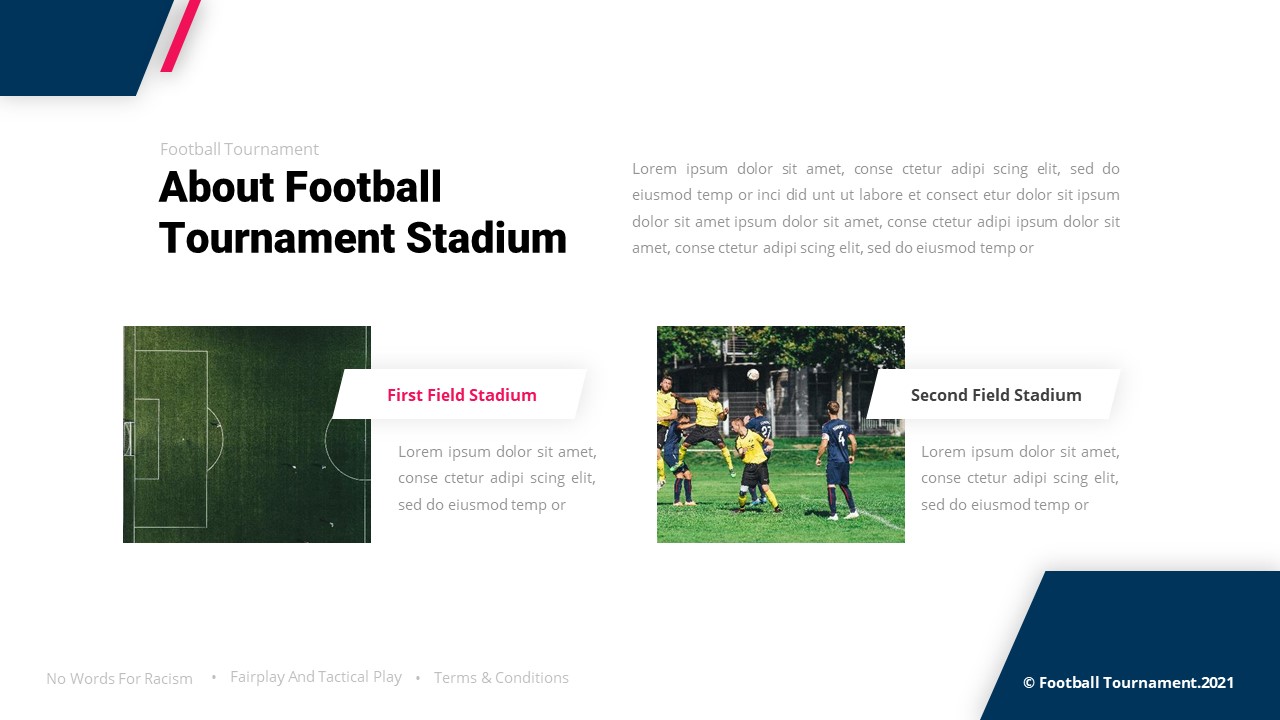 football turf business plan ppt