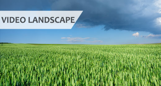 Landscape video
