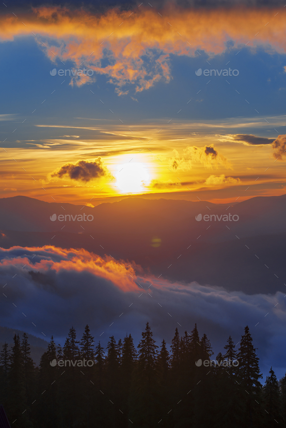 Beautiful sunrise in mountain forest with magical sky on background Stock  Photo by YouraPechkin