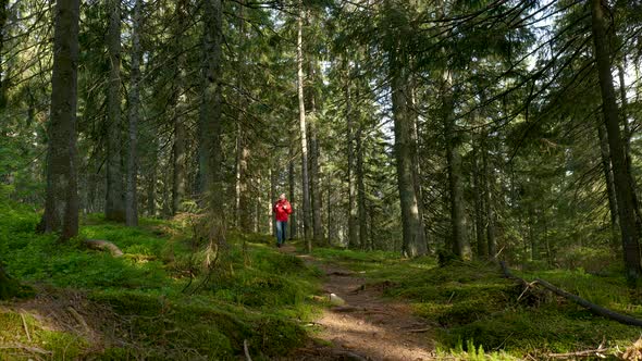 Tourist Guy with a Backpack on a Hike on an Adventure Trip in a Beautiful Forest alt