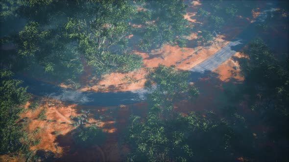 Road in Aerial View with Green Plants and Trees Around alt