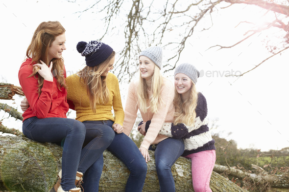 Four teenage girls sitting on top of tree trunk - Stock Photo - Images