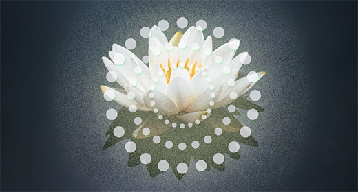 ROCK Action by Lotus_Notus