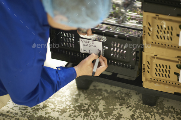Worker wearing hair net writing on label on crate