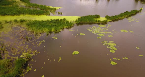 Aerial of a murky, wetland marsh alt