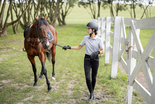 Female horseman go on lawn with Thoroughbred horse - Stock Photo - Images