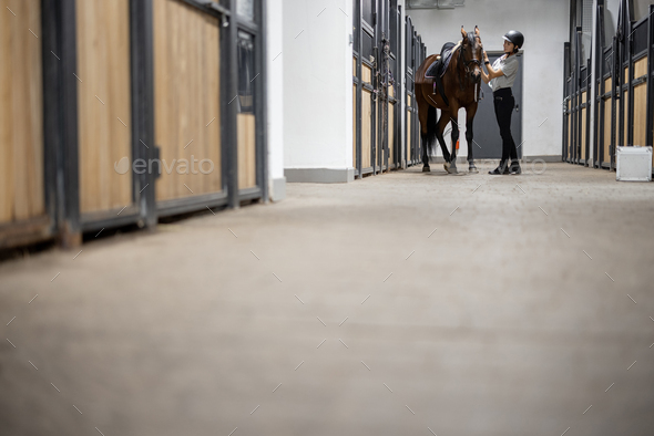 Female horseman with Thoroughbred horse in stable - Stock Photo - Images