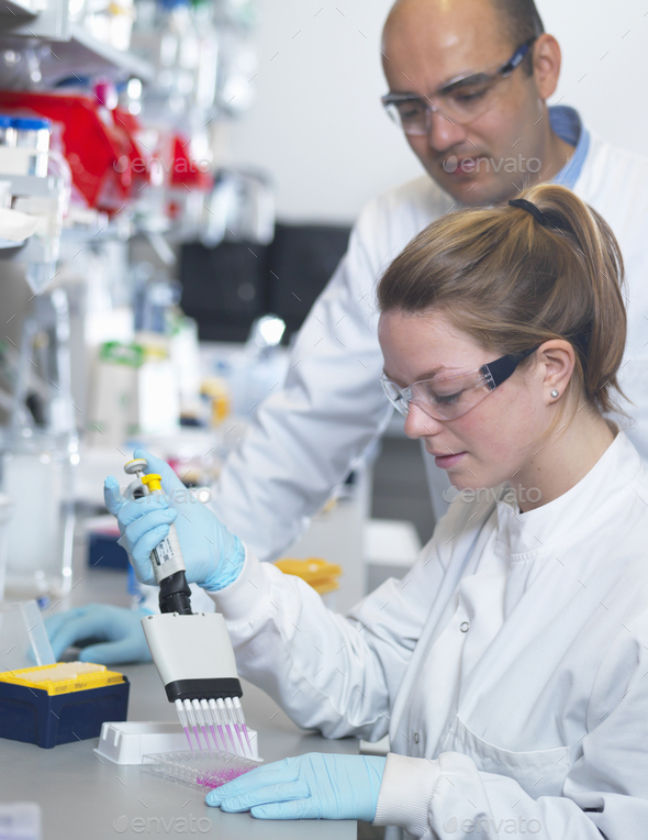 Scientist using multi-channel pipette to fill multiwell plate for analysis of antibodies by ELISA