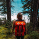 High angle rear view of mid adult woman carrying orange colour backpack standing in forest looking - PhotoDune Item for Sale