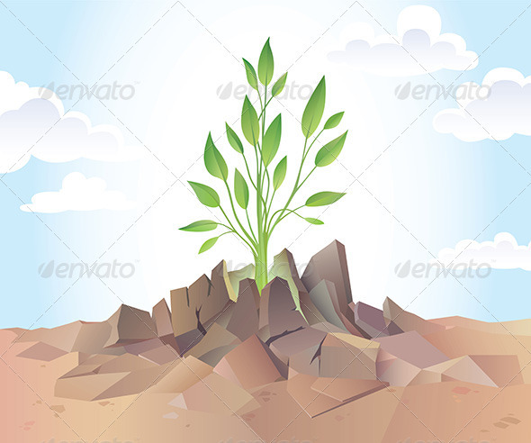 Green Sprout - Flowers & Plants Nature