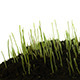 Green Grass With Motion - VideoHive Item for Sale