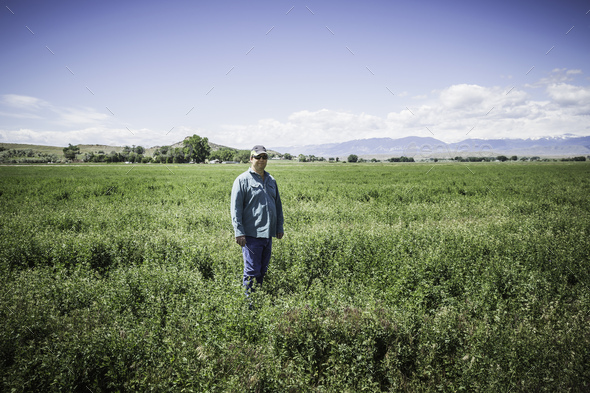 Mature man in field, Billings, Montana, USA