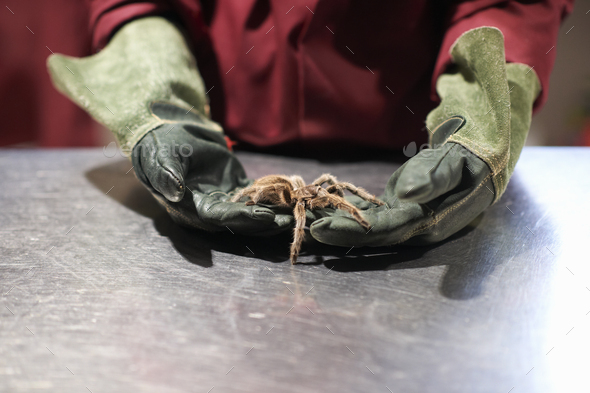 Mid section of college student wearing protective gloves handling ...