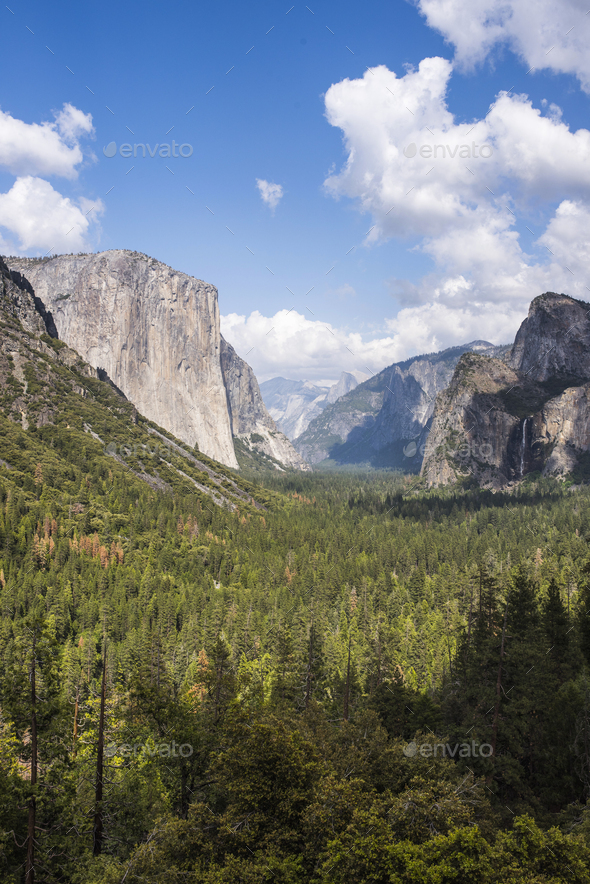 View of mountains and valley forest, Yosemite National Park, California, USA