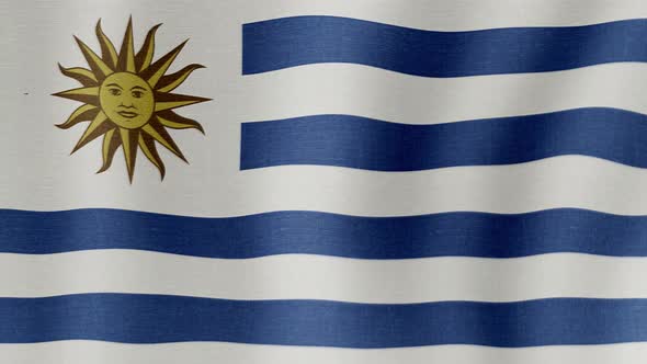 The National Flag of Uruguay