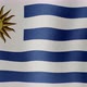 The National Flag of Uruguay - VideoHive Item for Sale