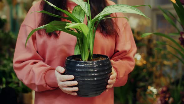 Cropped Shot of Woman Holding Green Potted Plant in Hands alt