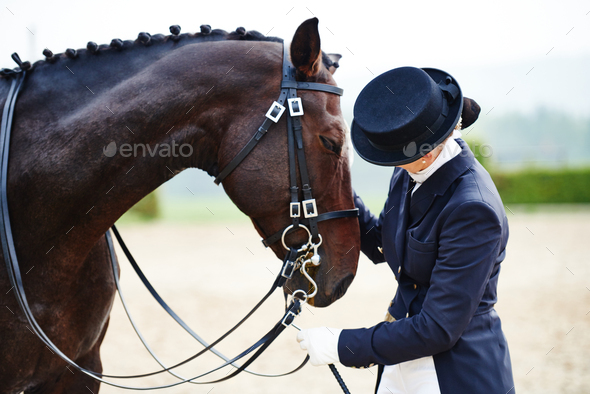 Female rider petting dressage horse in equestrian arena