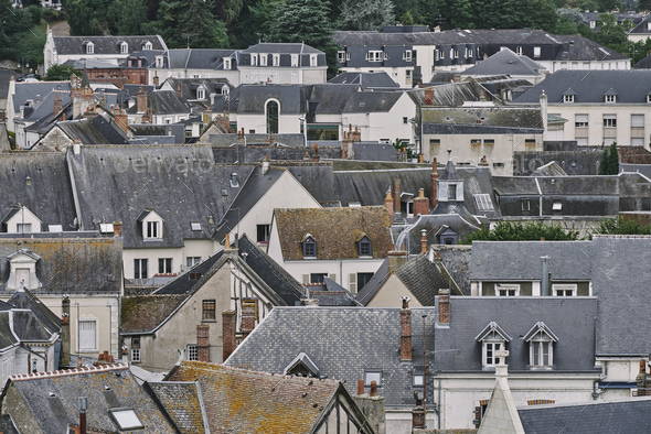 Elevated view of traditional townhouses and rooftops, Amboise, Loire Valley, France