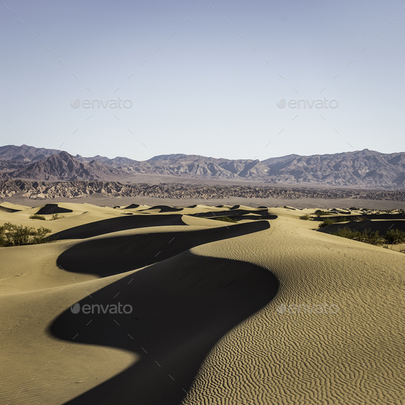 Shadowed Mesquite Flat Sand Dunes in Death Valley National Park, California, USA