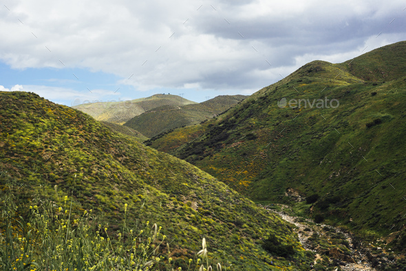 Valley landscape with californian poppies (Eschscholzia californica), North Elsinore, California,