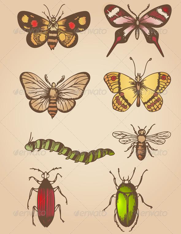 Vintage Insects - Animals Characters