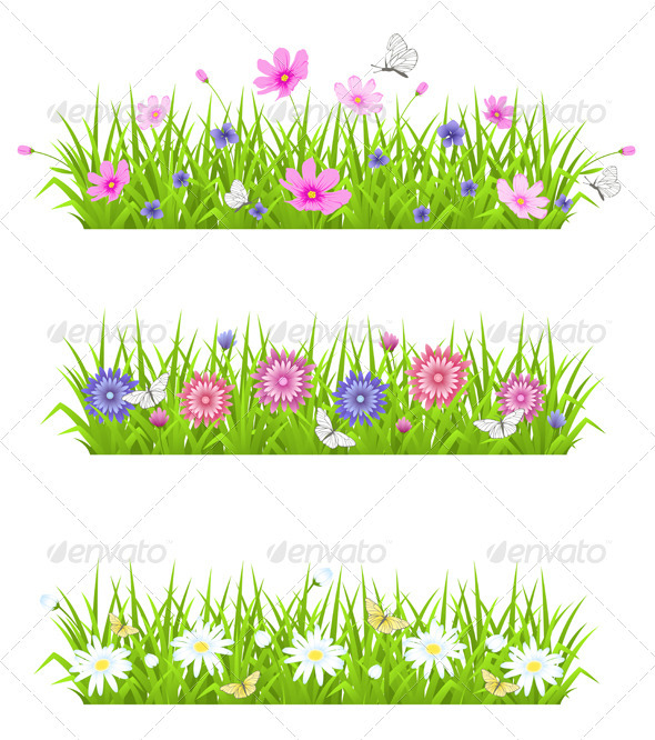 Green Grass and Flowers - Flowers & Plants Nature
