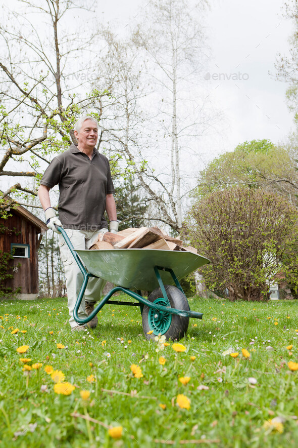 Older man pushing wheelbarrow Stock Photo by ImageSource PhotoDune
