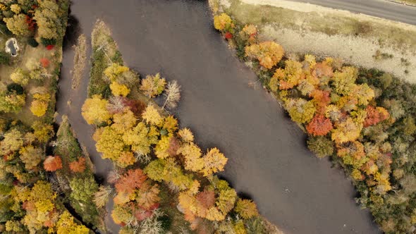 Autumn leaves. beautiful colors - pullout, birds eye view, topview - 4k - Drone - sequence 002/005 alt
