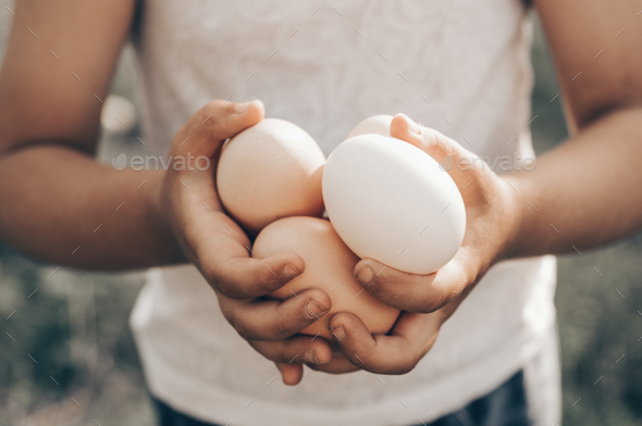 Little girl holding and picking good eggs quality organic and bring to the eye on the farm.