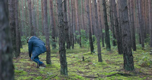 Man Dressed Warmly with a Helmet on Head Walks Through Forest Between Trees Mushroom Picker Came to alt