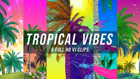 Tropical Vibes Vj Pack