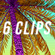 Tropical Vibes Vj Pack - VideoHive Item for Sale
