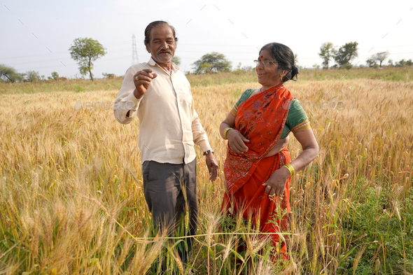 Happy Indian farmer couple in the field. - Stock Photo - Images