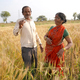 Happy Indian farmer couple in the field. - PhotoDune Item for Sale