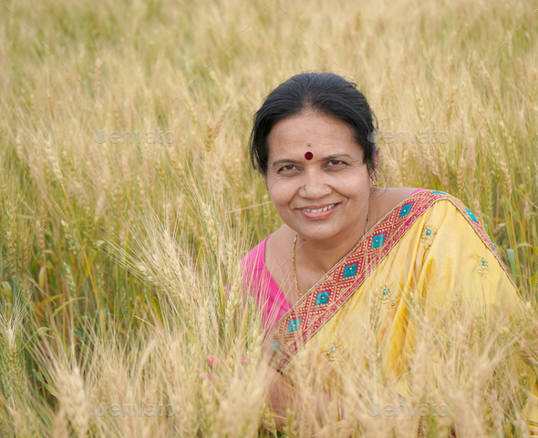 Beautiful young Indian woman wear in saree at the wheat field - Stock Photo - Images