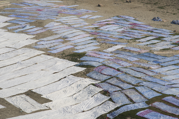 Drying cloth on banks of River Yanuma, Agra, India. - Stock Photo - Images