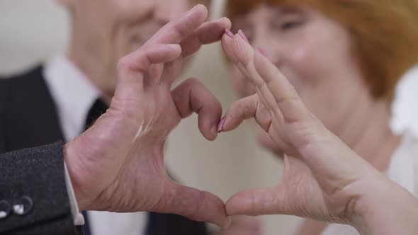 Closeup Wrinkled Senior Male and Female Hands in Heart Shape with Blurred Happy Newlyweds at alt