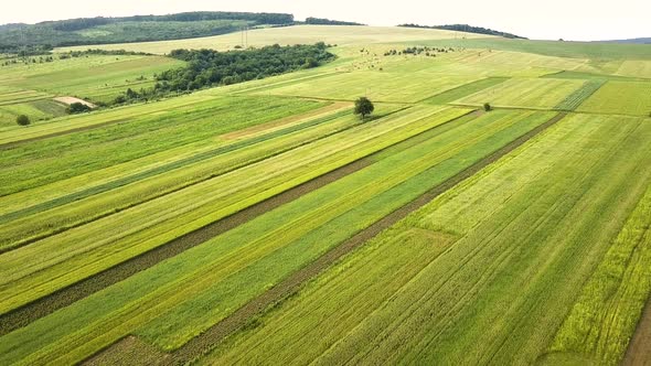 Aerial view of green agriculture fields in spring with fresh vegetation after seeding season. alt