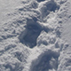 Big Steps on Snow