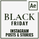 Black Friday Posts &amp; Stories - VideoHive Item for Sale