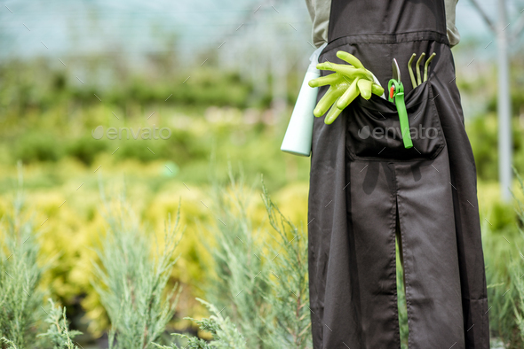 Tools for gardening in the pocket of the gardener